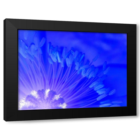 Natural Reactor I Black Modern Wood Framed Art Print by Grayscale