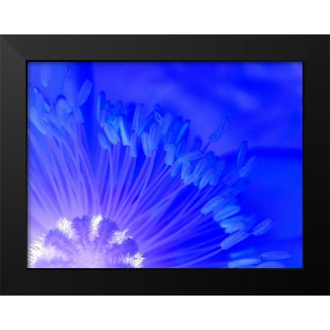 Natural Reactor I Black Modern Wood Framed Art Print by Grayscale