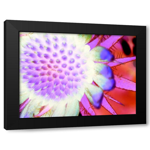 Natural Glow I Black Modern Wood Framed Art Print by Grayscale