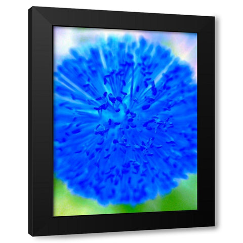 Blue Ball I Black Modern Wood Framed Art Print with Double Matting by Grayscale
