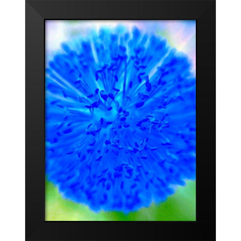 Blue Ball I Black Modern Wood Framed Art Print by Grayscale