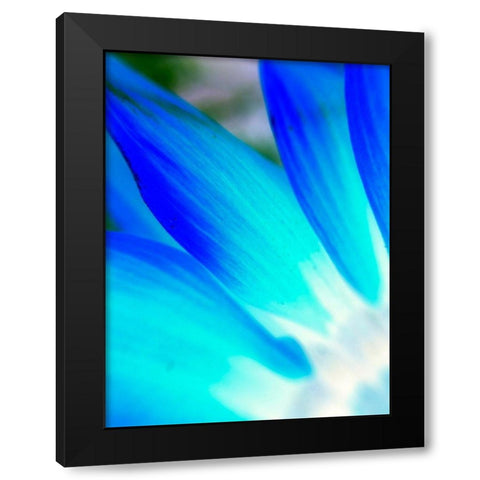 Blue Leaves I Black Modern Wood Framed Art Print with Double Matting by Grayscale