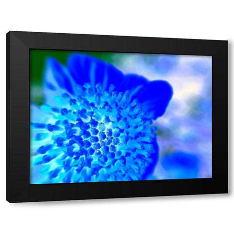 Blue Ball II Black Modern Wood Framed Art Print with Double Matting by Grayscale