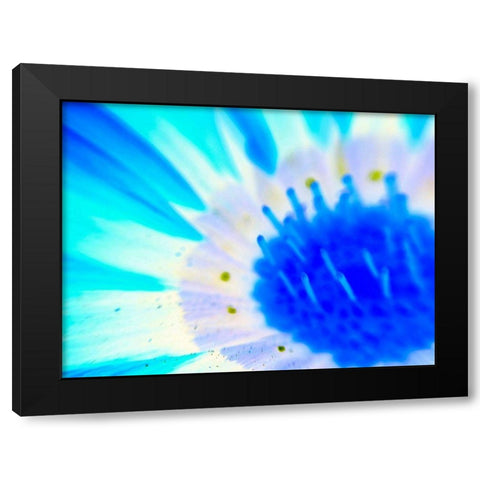 Natural Glow III Black Modern Wood Framed Art Print with Double Matting by Grayscale