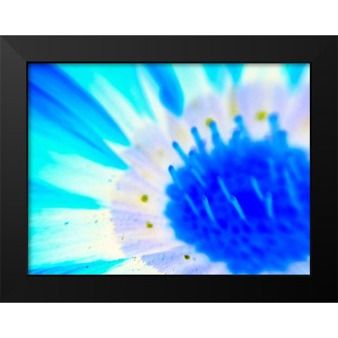 Natural Glow III Black Modern Wood Framed Art Print by Grayscale