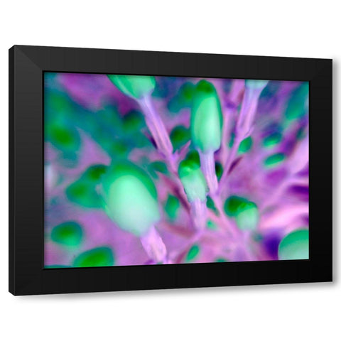 Natural Particles I Black Modern Wood Framed Art Print by Grayscale