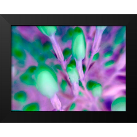 Natural Particles I Black Modern Wood Framed Art Print by Grayscale