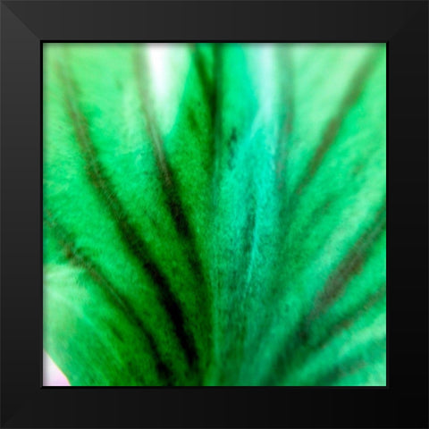 Green Leaves IV Black Modern Wood Framed Art Print by Grayscale