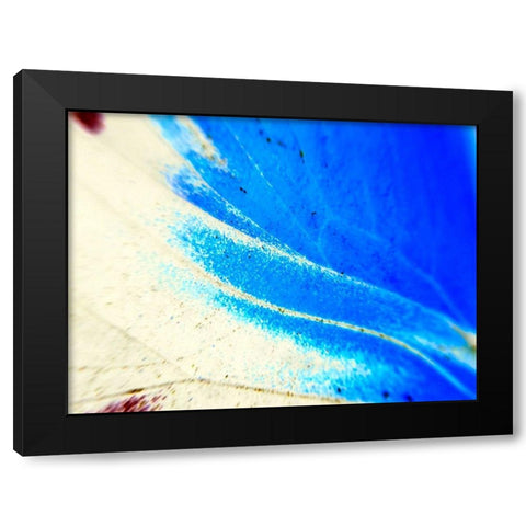Stained Wing II Black Modern Wood Framed Art Print by Grayscale