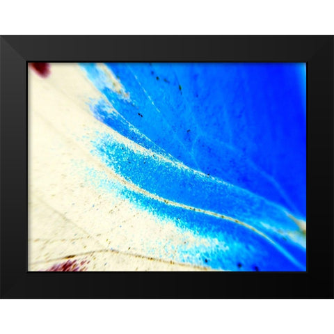 Stained Wing II Black Modern Wood Framed Art Print by Grayscale