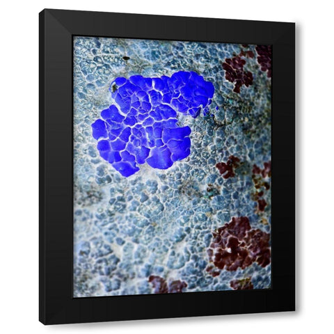 Texture Group IV Black Modern Wood Framed Art Print by Grayscale