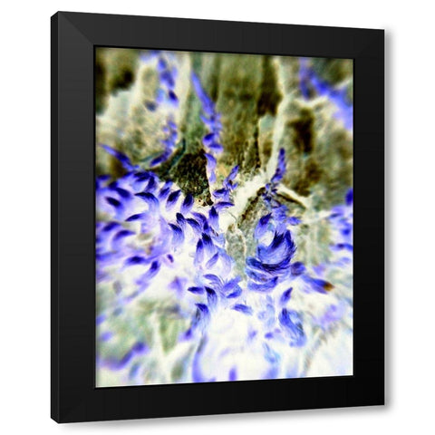 Purple Tails Black Modern Wood Framed Art Print by Grayscale