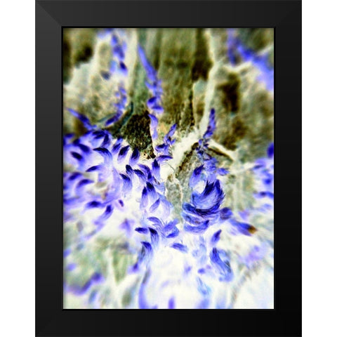 Purple Tails Black Modern Wood Framed Art Print by Grayscale