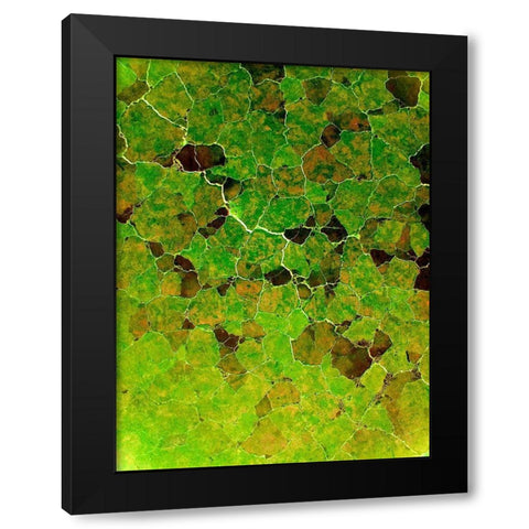 Natural Puzzles I Black Modern Wood Framed Art Print by Grayscale