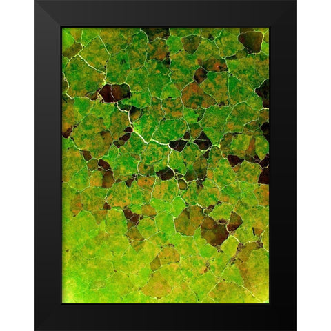 Natural Puzzles I Black Modern Wood Framed Art Print by Grayscale