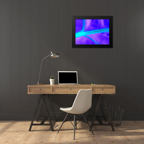 Energy Connection I Black Modern Wood Framed Art Print by Grayscale