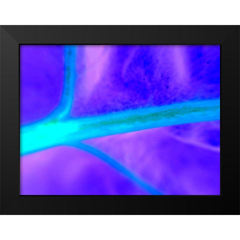 Energy Connection I Black Modern Wood Framed Art Print by Grayscale