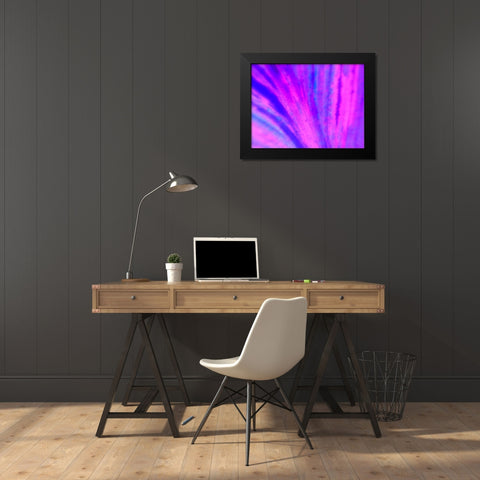 Energy Connection IV Black Modern Wood Framed Art Print by Grayscale