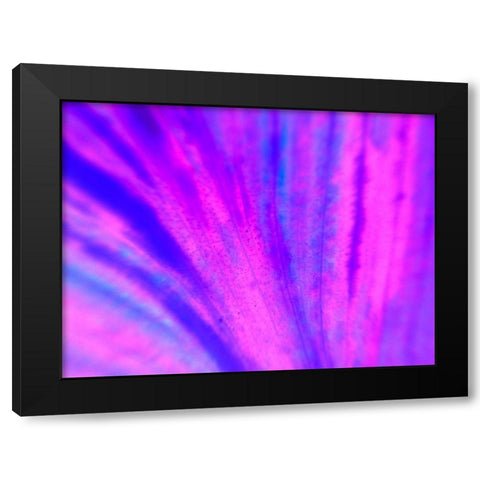 Energy Connection IV Black Modern Wood Framed Art Print by Grayscale