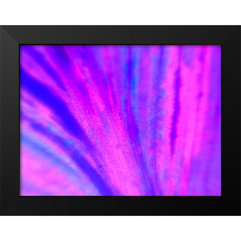 Energy Connection IV Black Modern Wood Framed Art Print by Grayscale