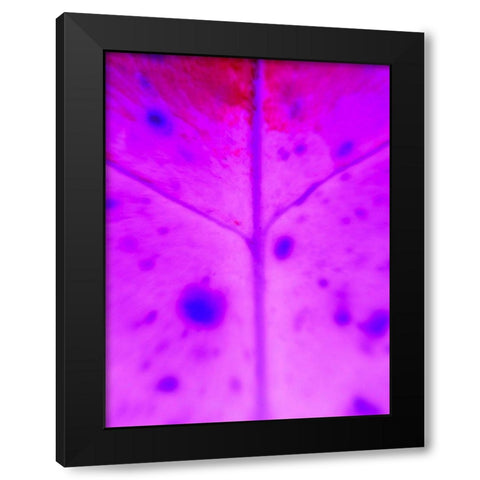 Purple Branch Black Modern Wood Framed Art Print with Double Matting by Grayscale
