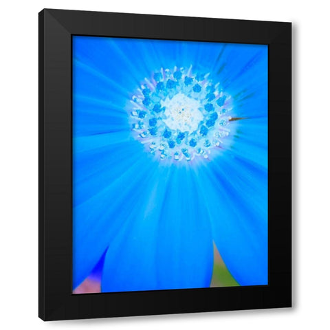 Natural Reactor II Black Modern Wood Framed Art Print with Double Matting by Grayscale