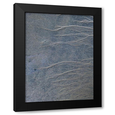 Sand Fibers I Black Modern Wood Framed Art Print by Grayscale
