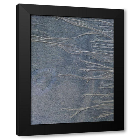 Sand Fibers II Black Modern Wood Framed Art Print with Double Matting by Grayscale