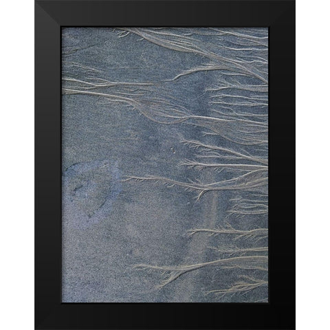 Sand Fibers II Black Modern Wood Framed Art Print by Grayscale