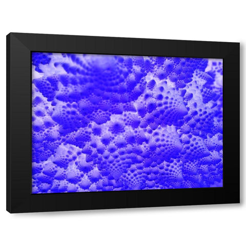 Fractal Clouds I Black Modern Wood Framed Art Print by Grayscale
