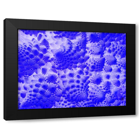 Fractal Clouds II Black Modern Wood Framed Art Print by Grayscale