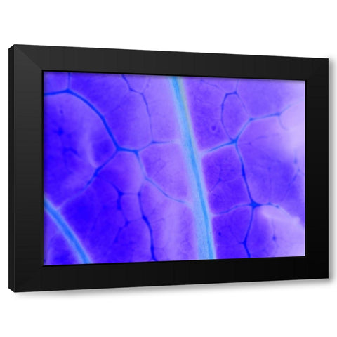 Turquoise Ridge I Black Modern Wood Framed Art Print by Grayscale