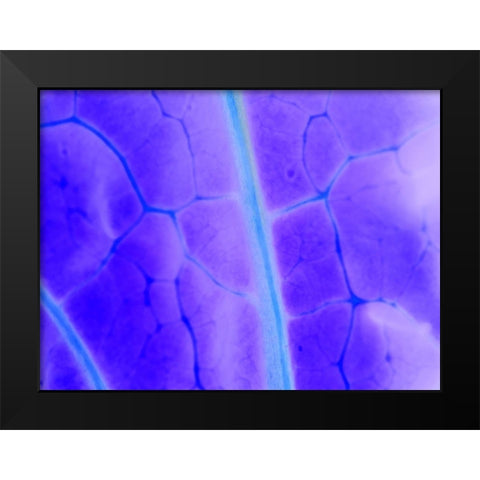 Turquoise Ridge I Black Modern Wood Framed Art Print by Grayscale