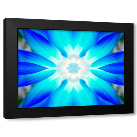 Flower Medallion V Black Modern Wood Framed Art Print with Double Matting by Grayscale