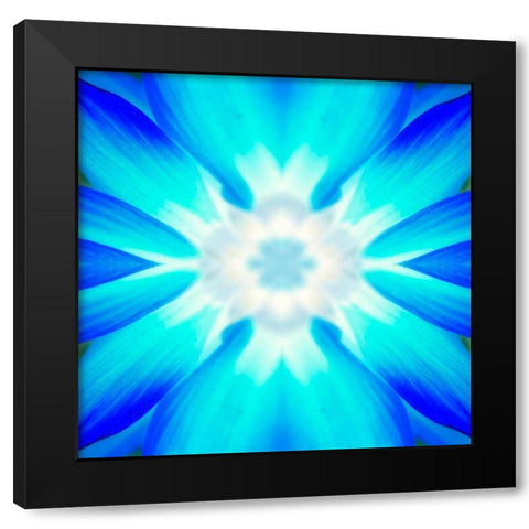 Flower Medallion IV Black Modern Wood Framed Art Print by Grayscale