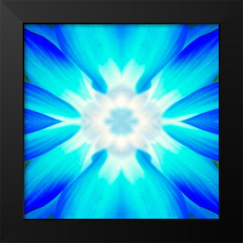 Flower Medallion IV Black Modern Wood Framed Art Print by Grayscale