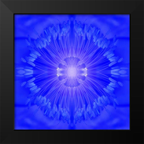 Flower Medallion I Black Modern Wood Framed Art Print by Grayscale