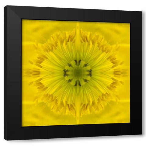 Flower Medallion II Black Modern Wood Framed Art Print by Grayscale