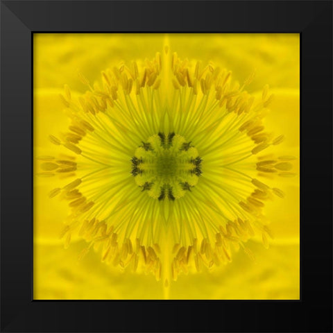 Flower Medallion II Black Modern Wood Framed Art Print by Grayscale