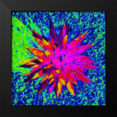 Aloe Burst I Black Modern Wood Framed Art Print by Grayscale