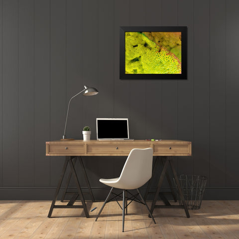 BioRidge I Black Modern Wood Framed Art Print by Grayscale