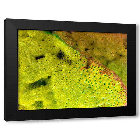 BioRidge I Black Modern Wood Framed Art Print with Double Matting by Grayscale