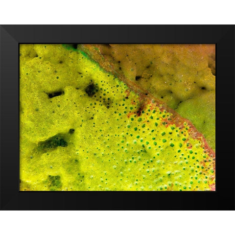 BioRidge I Black Modern Wood Framed Art Print by Grayscale