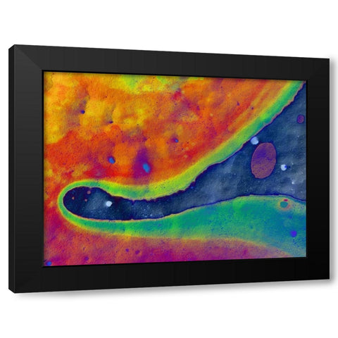 Bio Rainbow I Black Modern Wood Framed Art Print by Grayscale