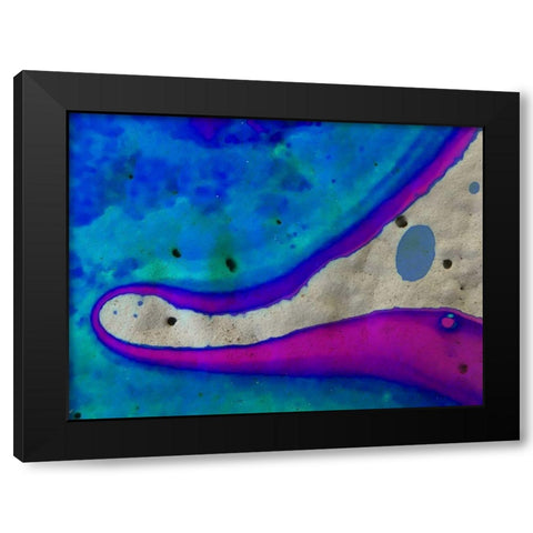 Bio Rainbow Ib Black Modern Wood Framed Art Print by Grayscale