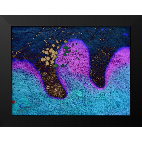 Bio Rainbow II Black Modern Wood Framed Art Print by Grayscale
