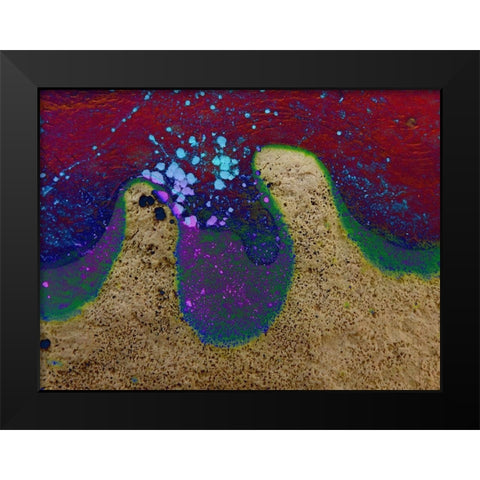 Bio Rainbow III Black Modern Wood Framed Art Print by Grayscale