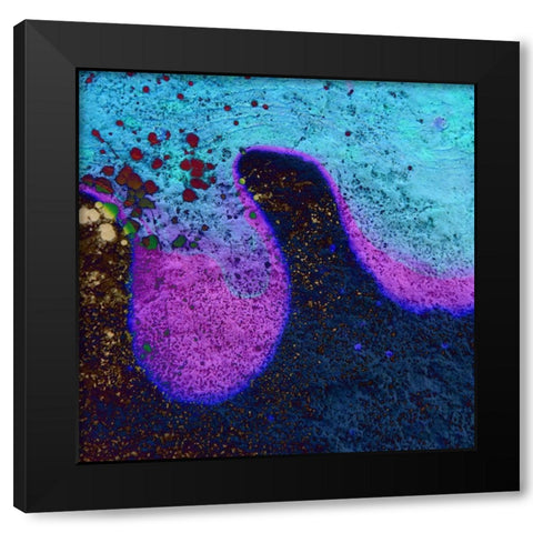 Bio Rainbow IIIb Black Modern Wood Framed Art Print with Double Matting by Grayscale