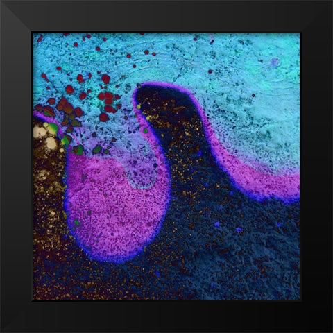 Bio Rainbow IIIb Black Modern Wood Framed Art Print by Grayscale