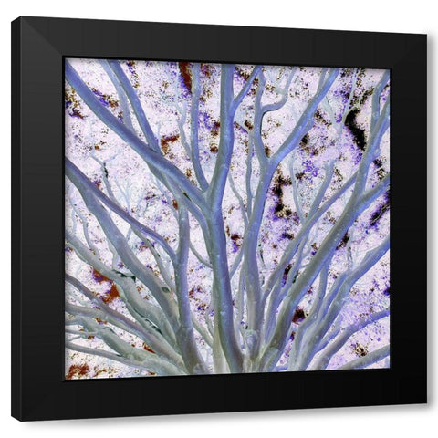 Space Canopy I Black Modern Wood Framed Art Print with Double Matting by Grayscale